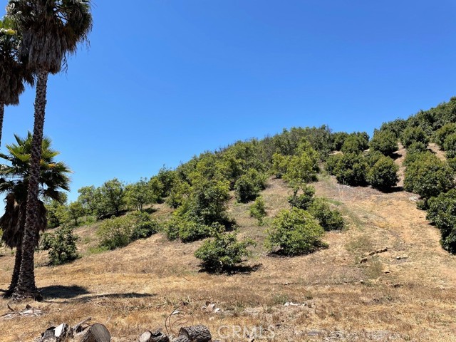 MLS #SW25169972 image #24