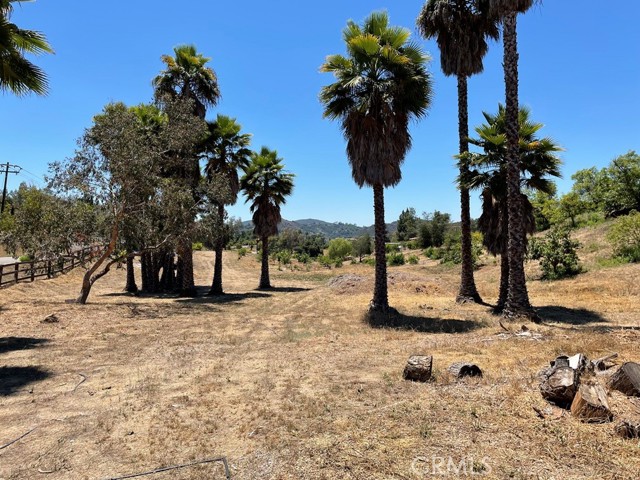 MLS #SW25169972 image #25