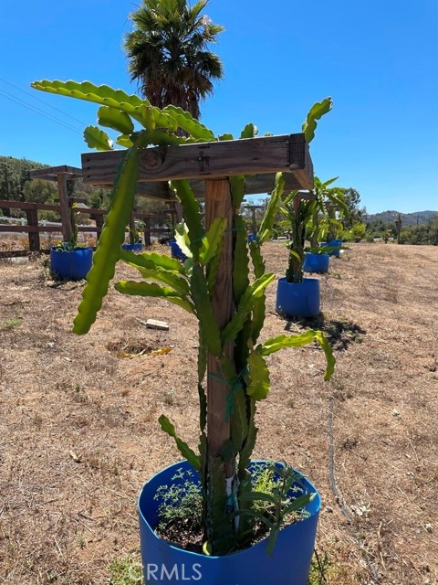 MLS #SW25169972 image #3