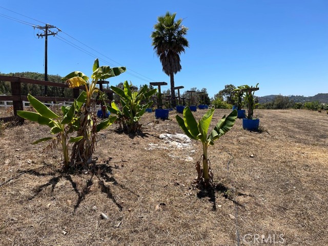 MLS #SW25169972 image #4