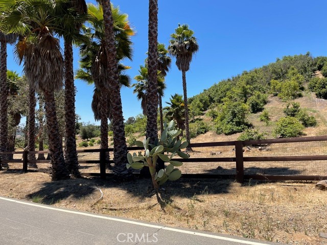 MLS #SW25169972 image #5