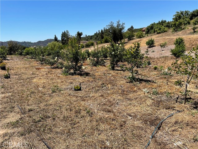 MLS #SW25169972 image #6