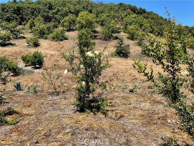 MLS #SW25169972 image #8