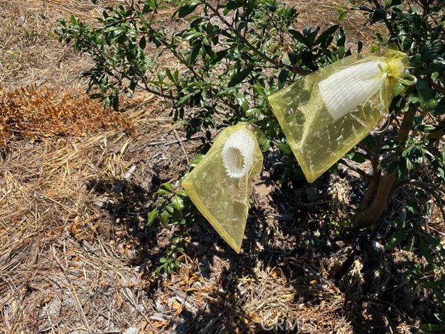 MLS #SW25169972 image #9