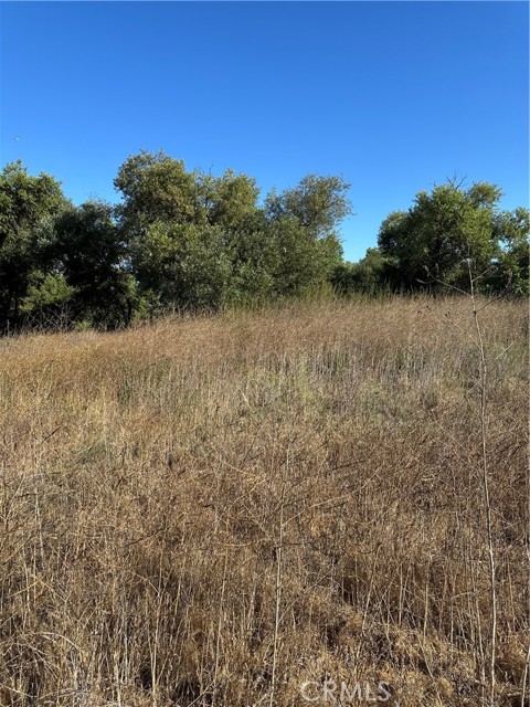 MLS #SW25171168 image #1