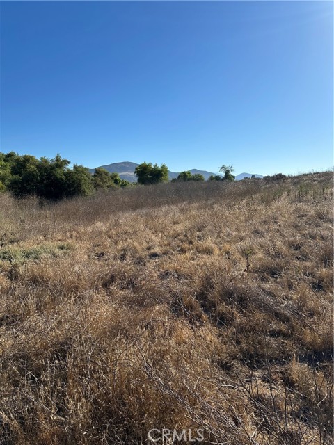 MLS #SW25171168 image #10