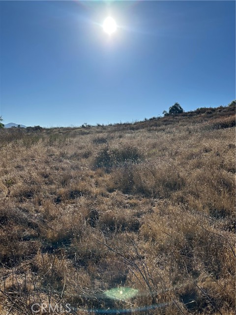 MLS #SW25171168 image #11