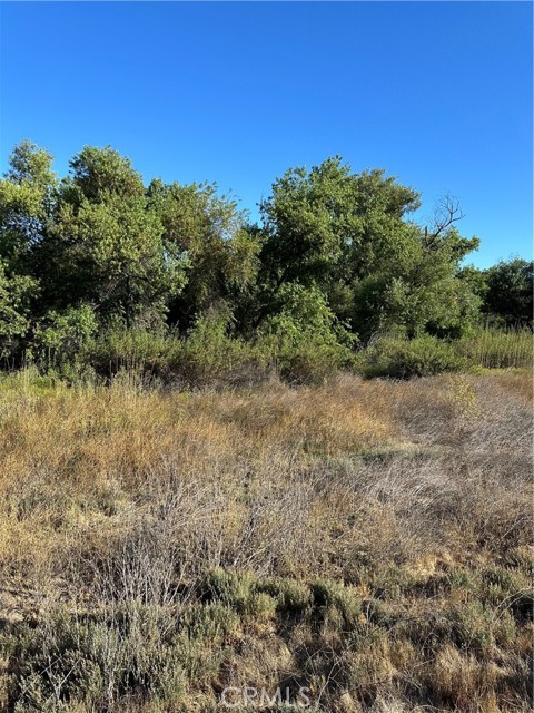 MLS #SW25171168 image #12