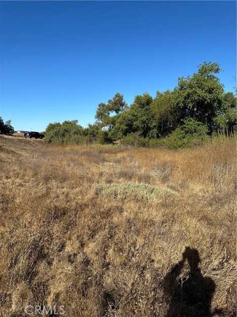 MLS #SW25171168 image #2