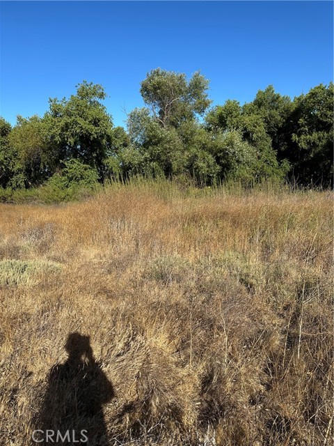 MLS #SW25171168 image #4