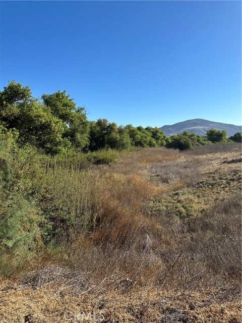 MLS #SW25171168 image #5