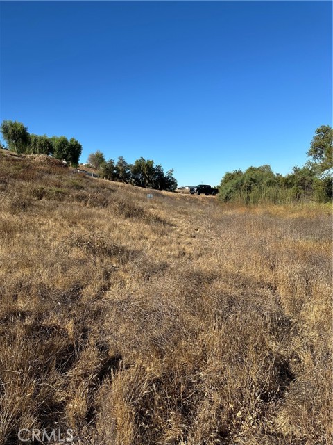 MLS #SW25171168 image #6