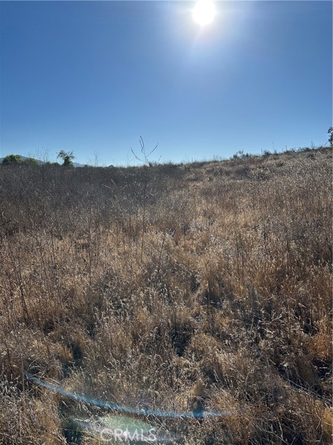 MLS #SW25171168 image #8