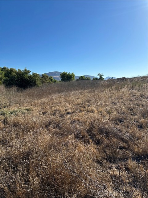 MLS #SW25171168 image #9