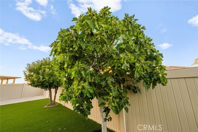 MLS #SW25171477 image #52