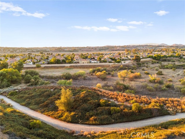 MLS #SW25171477 image #59