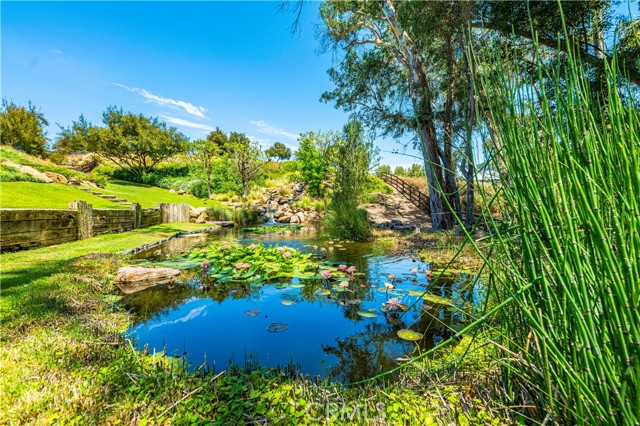 MLS #SW25171740 image #69