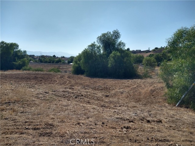 MLS #SW25171911 image #3