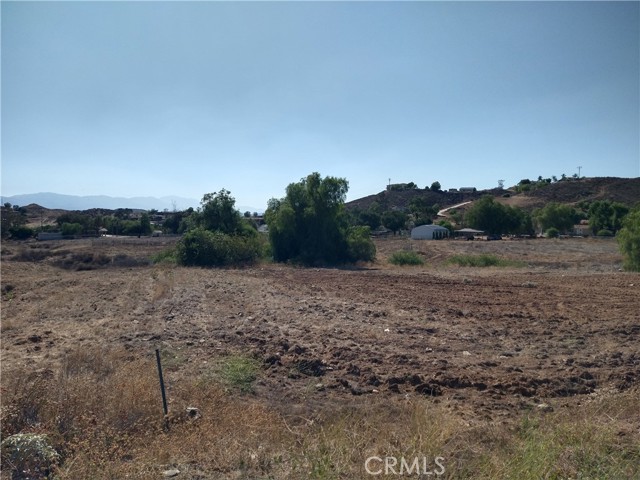 MLS #SW25171911 image #5