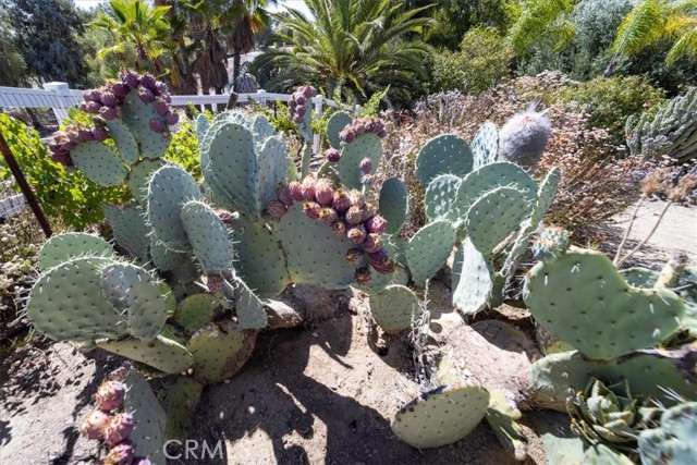 MLS #SW25172567 image #59