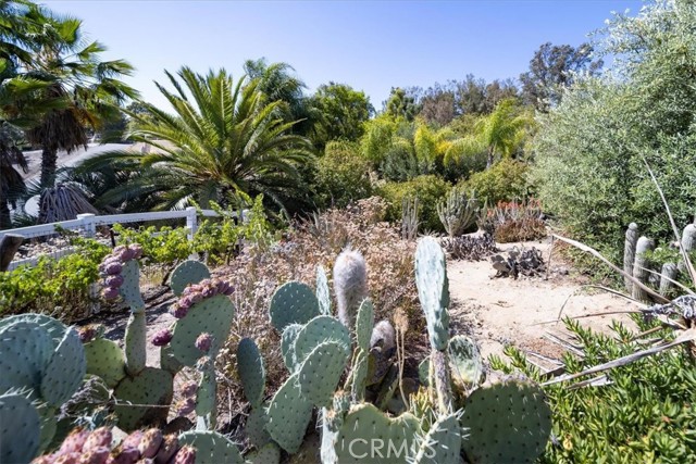 MLS #SW25172567 image #60