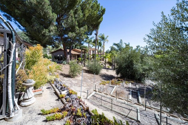 MLS #SW25172567 image #61