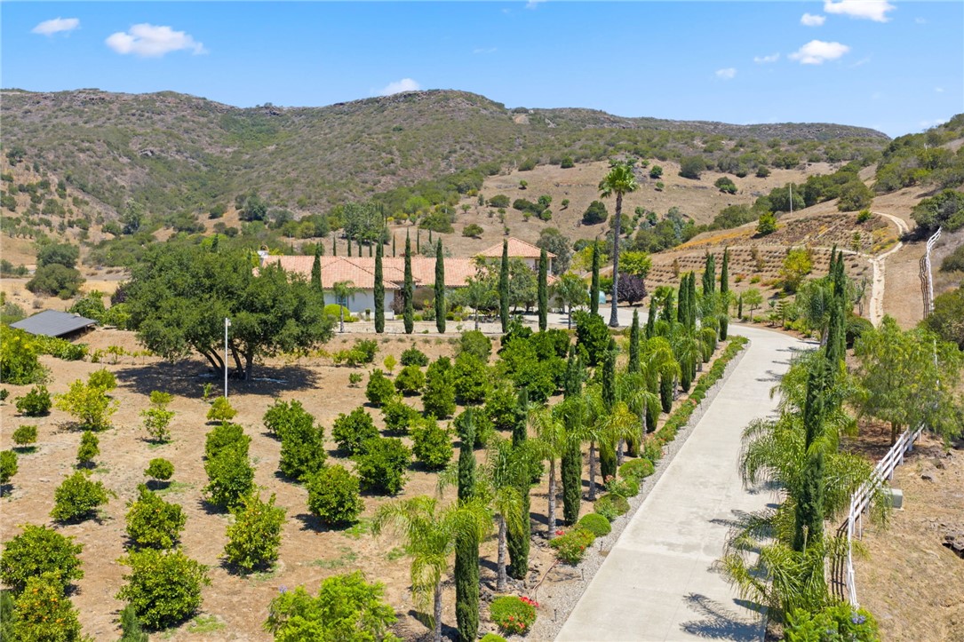 MLS #SW25172675 image #5