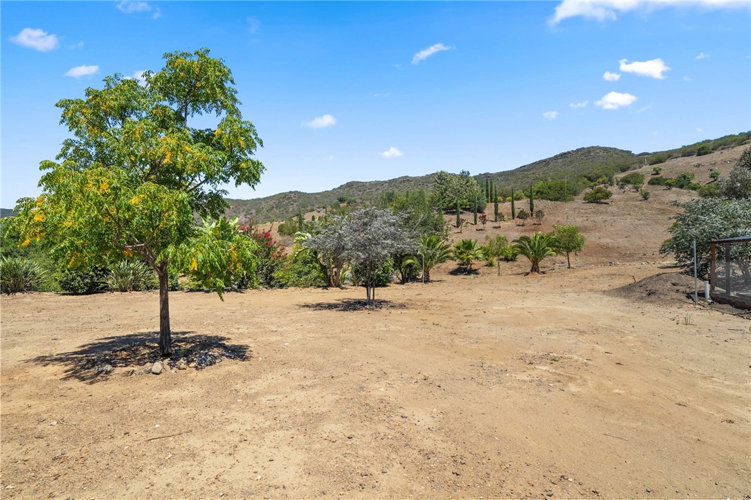 MLS #SW25172675 image #53