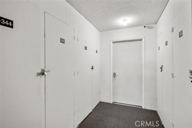 MLS #SW25172876 image #17