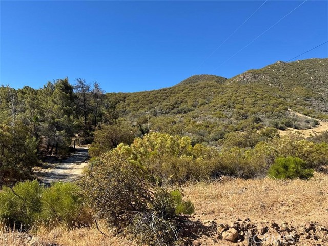 MLS #SW25173108 image #1