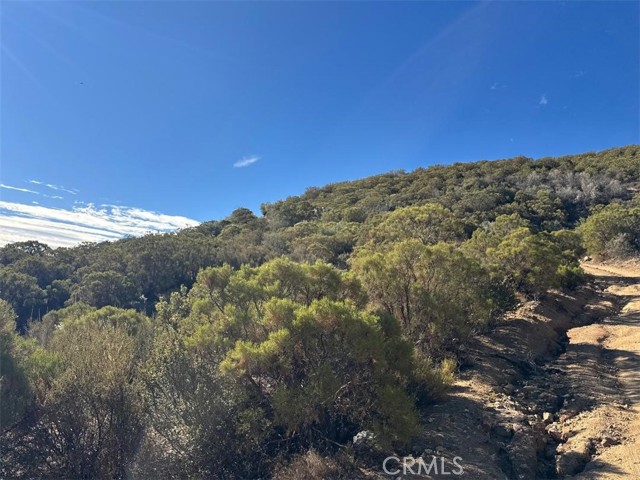 MLS #SW25173108 image #10