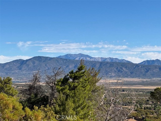 MLS #SW25173108 image #14
