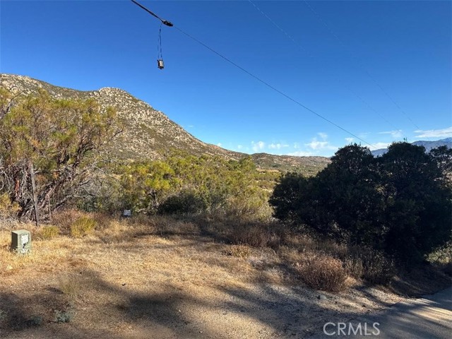 MLS #SW25173108 image #4
