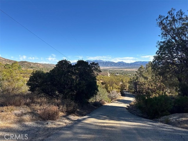 MLS #SW25173108 image #5
