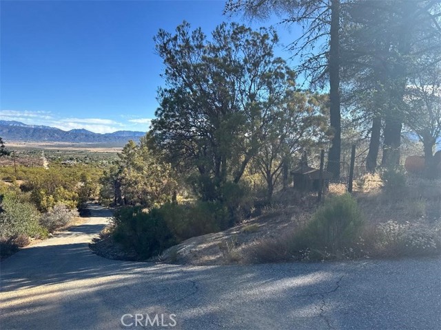MLS #SW25173108 image #6