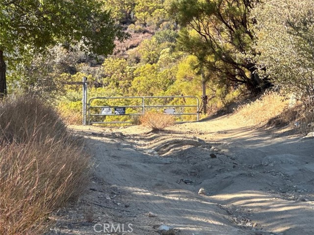 MLS #SW25173108 image #7