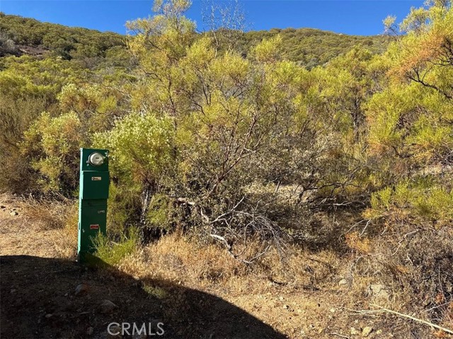 MLS #SW25173108 image #8