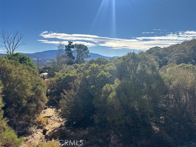 MLS #SW25173108 image #9