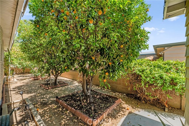 MLS #SW25173714 image #47