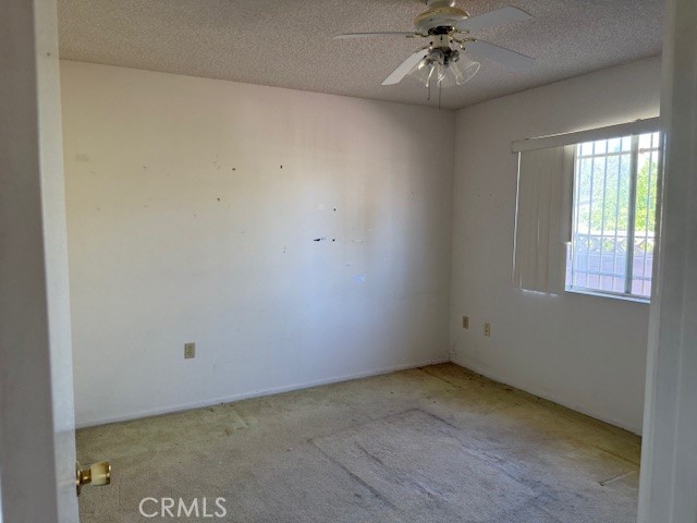 MLS #SW25173775 image #14