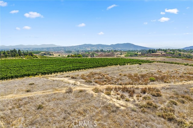 MLS #SW25173776 image #14