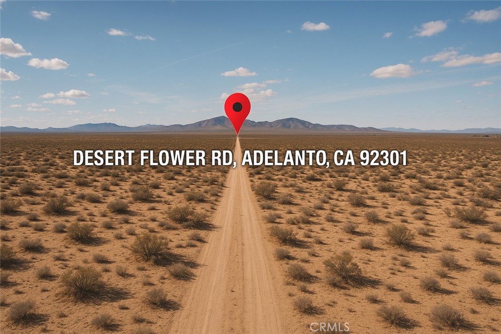 MLS #SW25174479 image #3