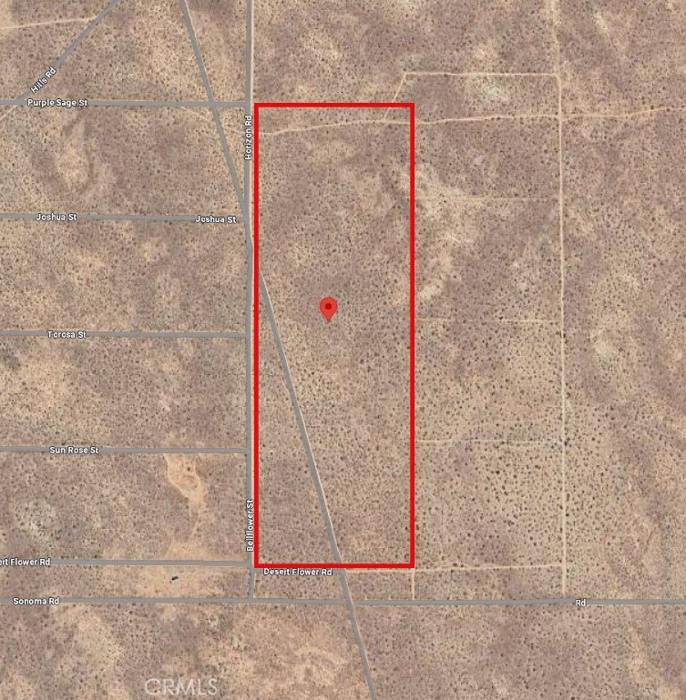 MLS #SW25174479 image #4