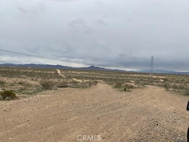 MLS #SW25174479 image #5