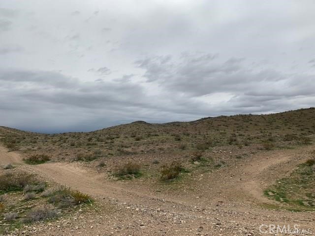 MLS #SW25174479 image #6