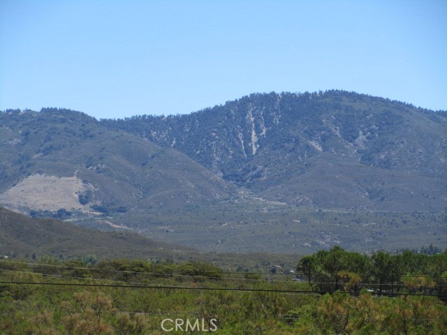 MLS #SW25174539 image #0