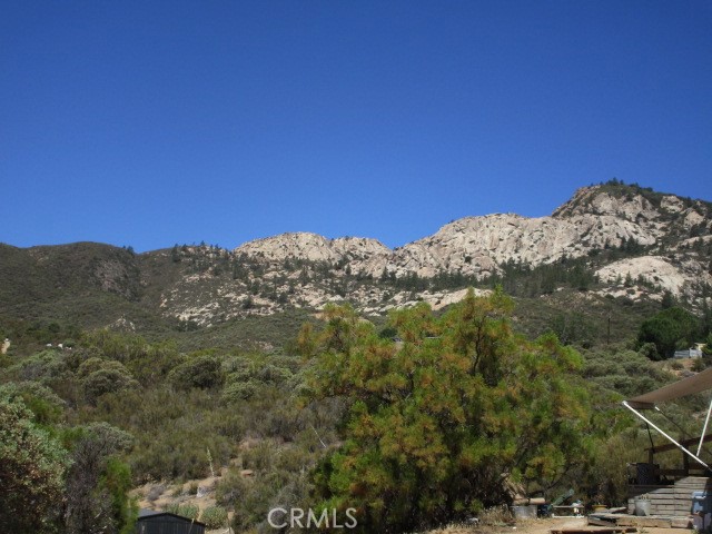 MLS #SW25174539 image #1