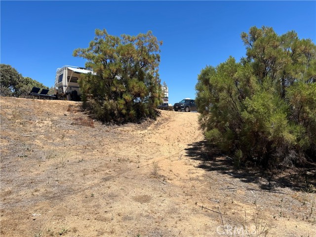 MLS #SW25174539 image #10