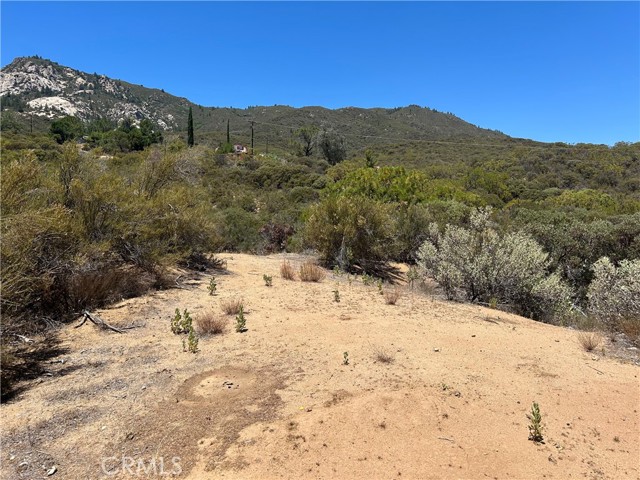 MLS #SW25174539 image #11