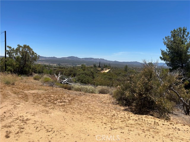 MLS #SW25174539 image #13